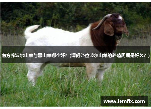 南方养波尔山羊与黑山羊哪个好？(请问各位波尔山羊的养殖周期是好久？)