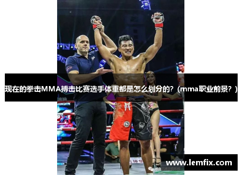 现在的拳击MMA搏击比赛选手体重都是怎么划分的？(mma职业前景？)