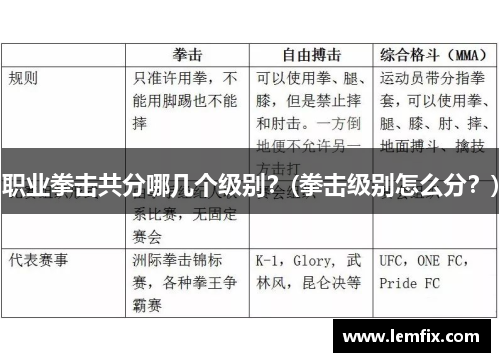 职业拳击共分哪几个级别？(拳击级别怎么分？)